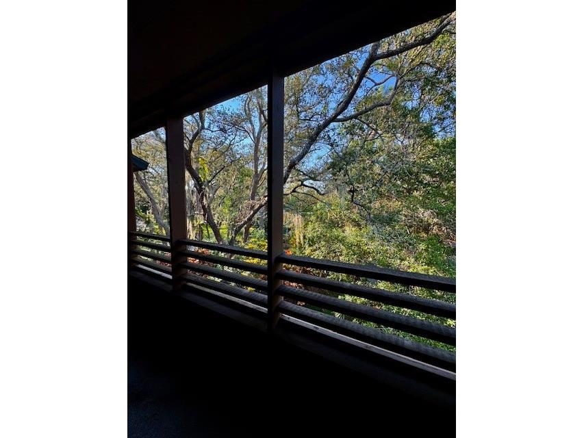 404 Lennox Road W #404 Palm Harbor FL 34683 TB8380268 image44