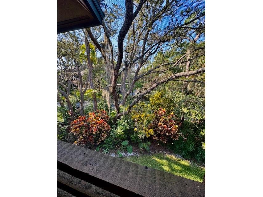 404 Lennox Road W #404 Palm Harbor FL 34683 TB8380268 image45