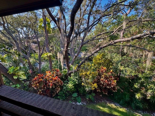 404 Lennox Road W #404 Palm Harbor FL 34683 TB8380268 image5