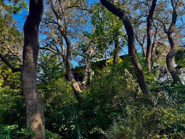 404 Lennox Road W #404 Palm Harbor FL 34683 TB8380268 image6