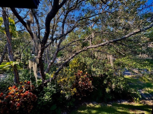 404 Lennox Road W #404 Palm Harbor FL 34683 TB8380268 image7