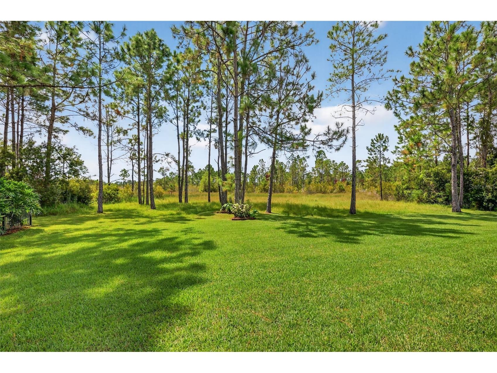 404 Long And Winding Road Howey In The Hills FL 34737 G5111102 image61