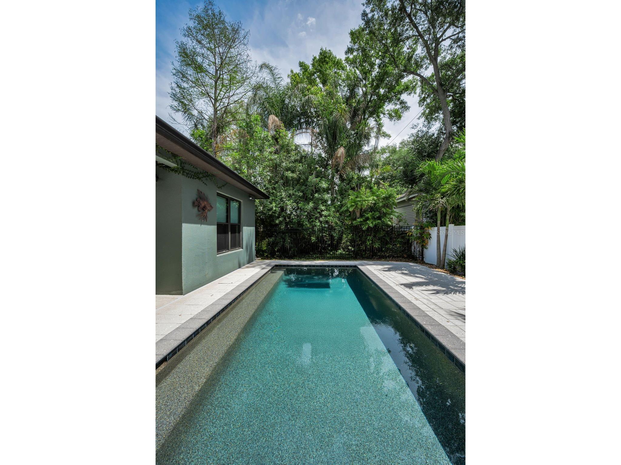 404 Marshall Street Safety Harbor FL 34695 TB8491627 image46