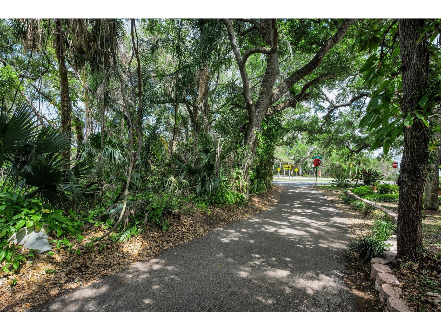 404 Marshall Street Safety Harbor FL 34695 TB8491627 image56