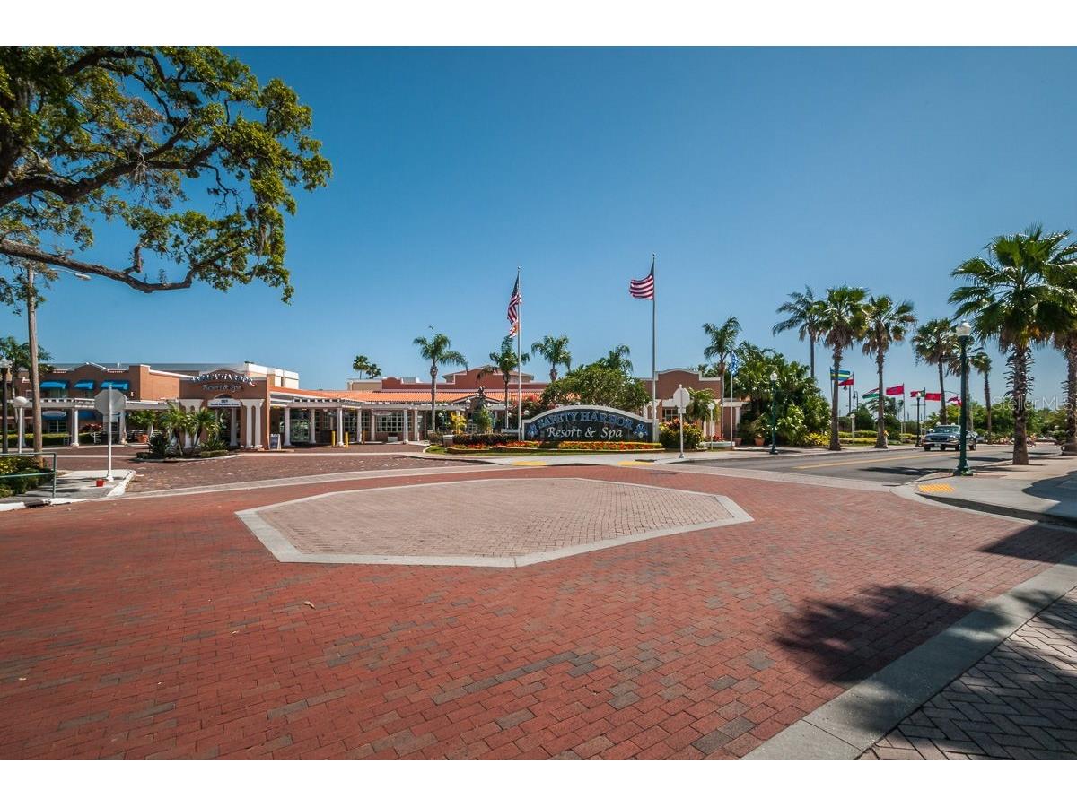404 Marshall Street Safety Harbor FL 34695 TB8491627 image69
