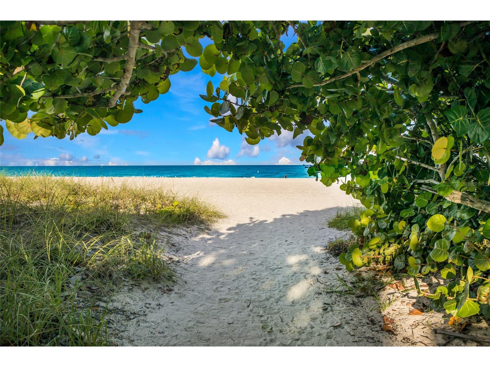 404 Oxford Drive #404 Nokomis FL 34275 A4699074 image31