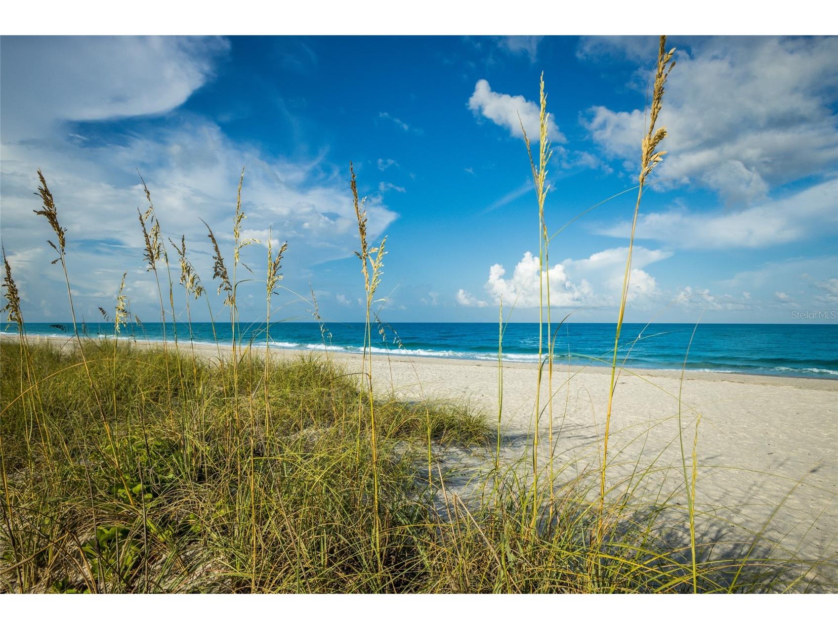 404 Oxford Drive #404 Nokomis FL 34275 A4699074 image33