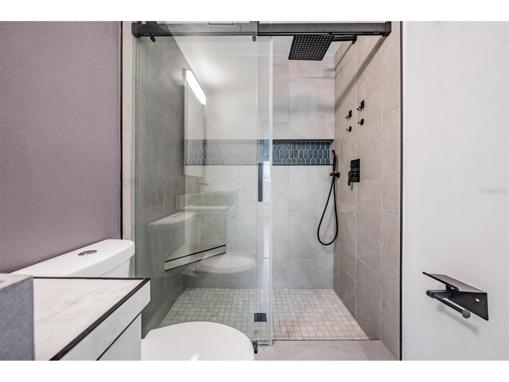 404 Regal Park Drive Valrico FL 33594 TB8461467 image11