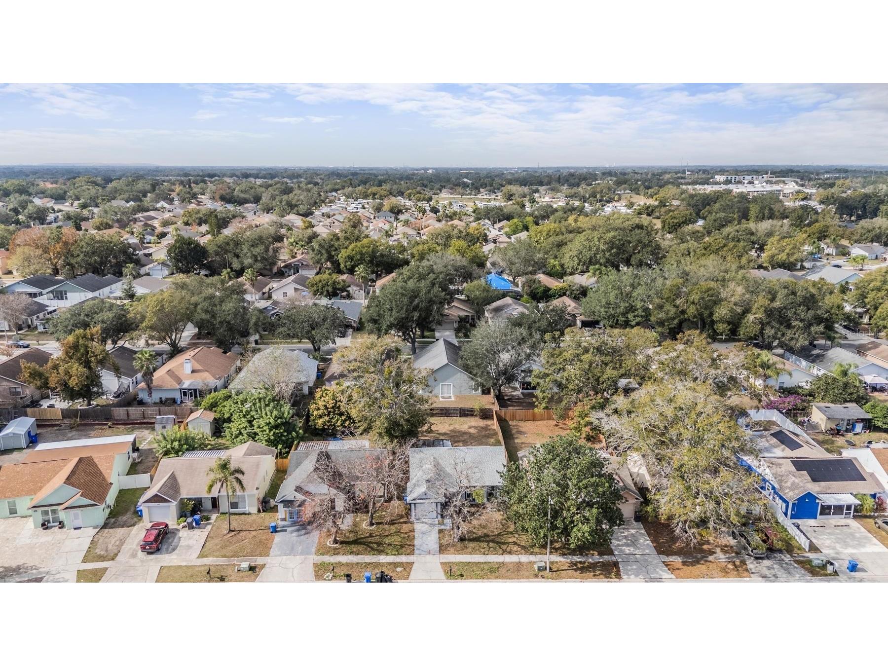 404 Regal Park Drive Valrico FL 33594 TB8461467 image26