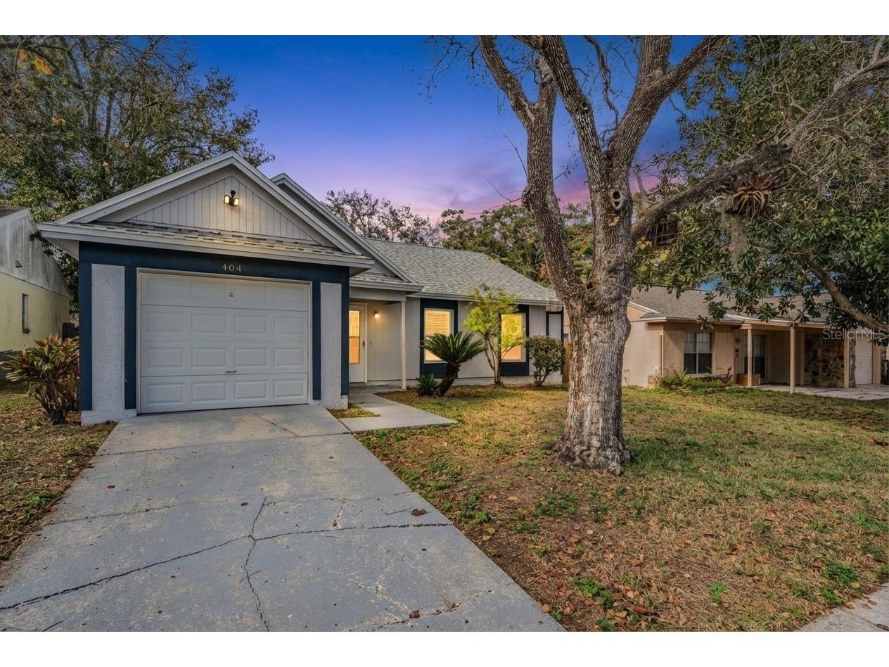 404 Regal Park Drive Valrico FL 33594 TB8461467 image28