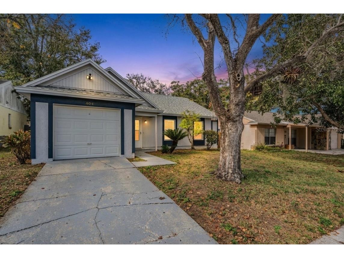 404 Regal Park Drive Valrico FL 33594 TB8461467 image33