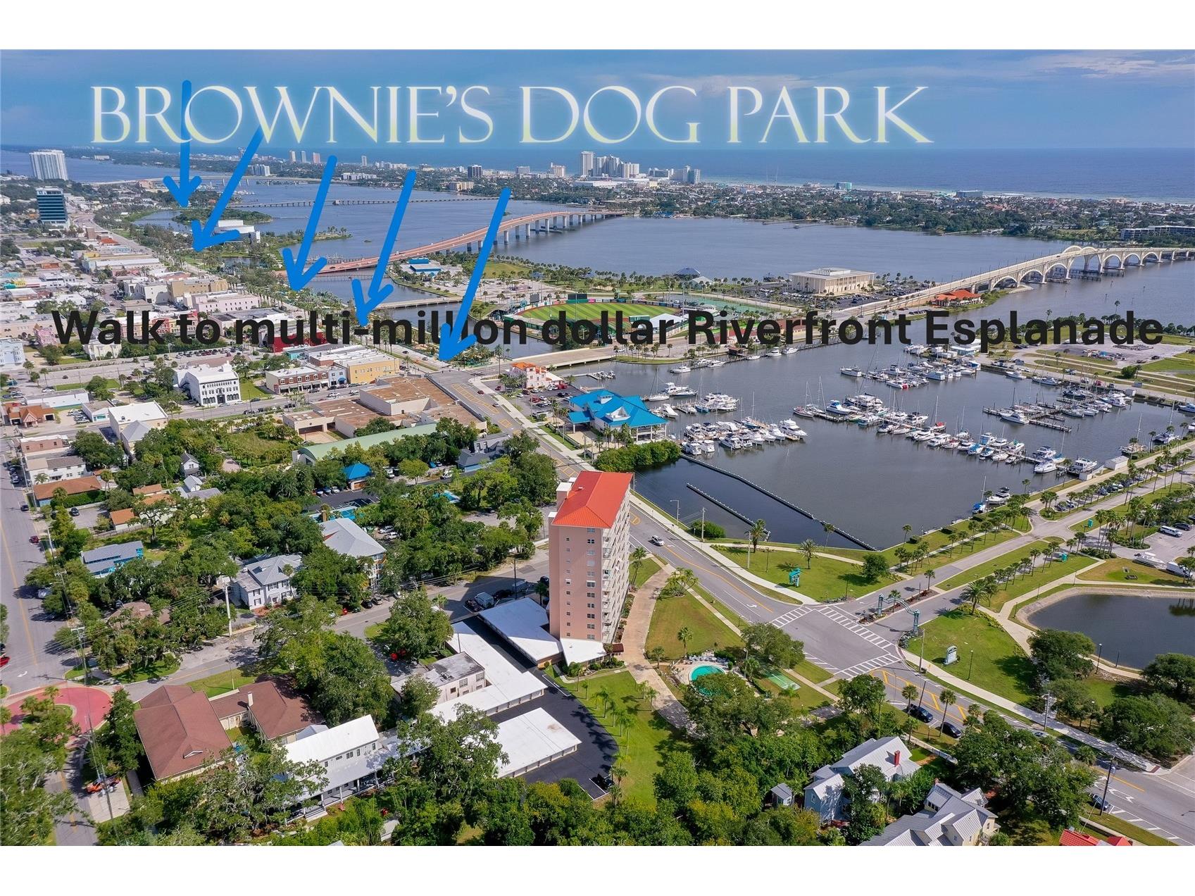 404 S Beach Street #503 Daytona Beach FL 32114 V4947254 image7