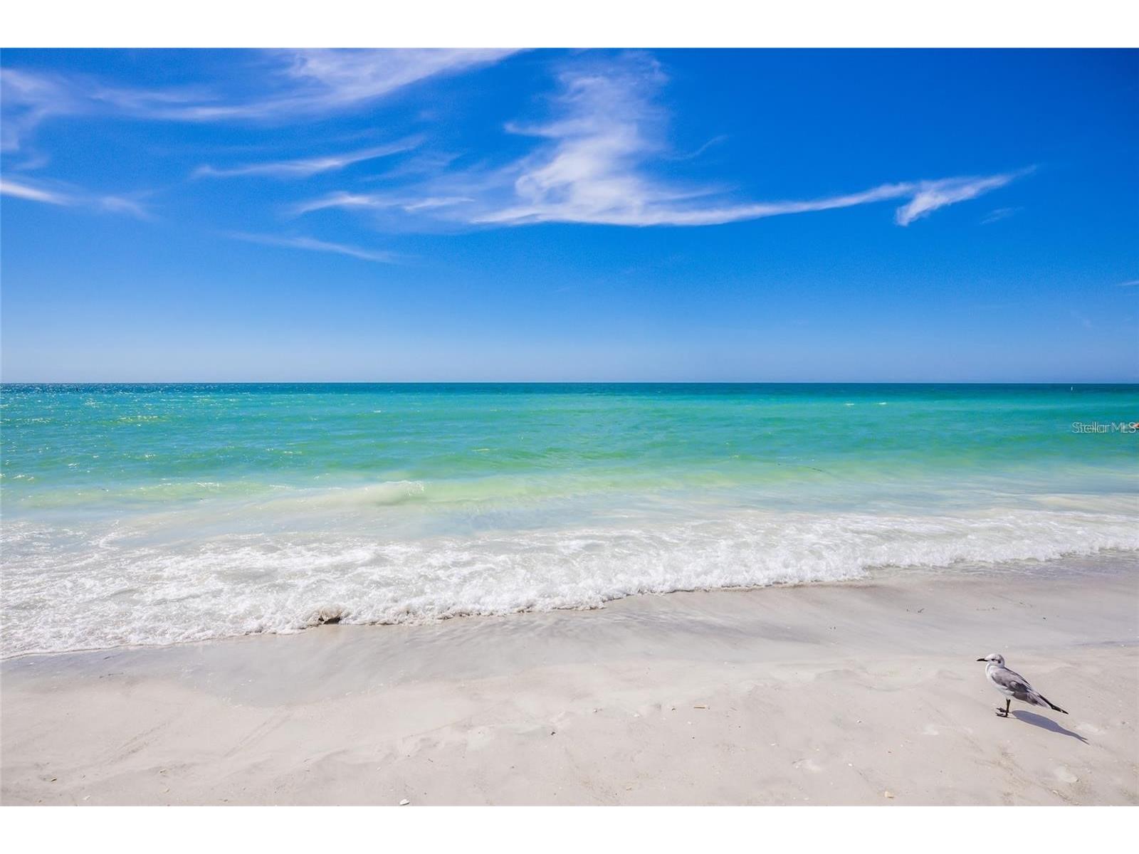 404 S Polk Drive Sarasota FL 34236 A4689616 image2