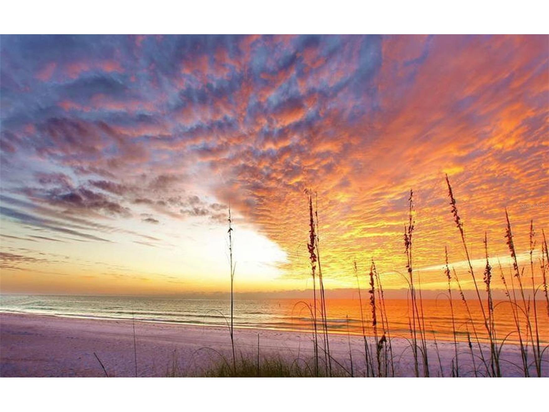 404 S Polk Drive Sarasota FL 34236 A4689616 image37
