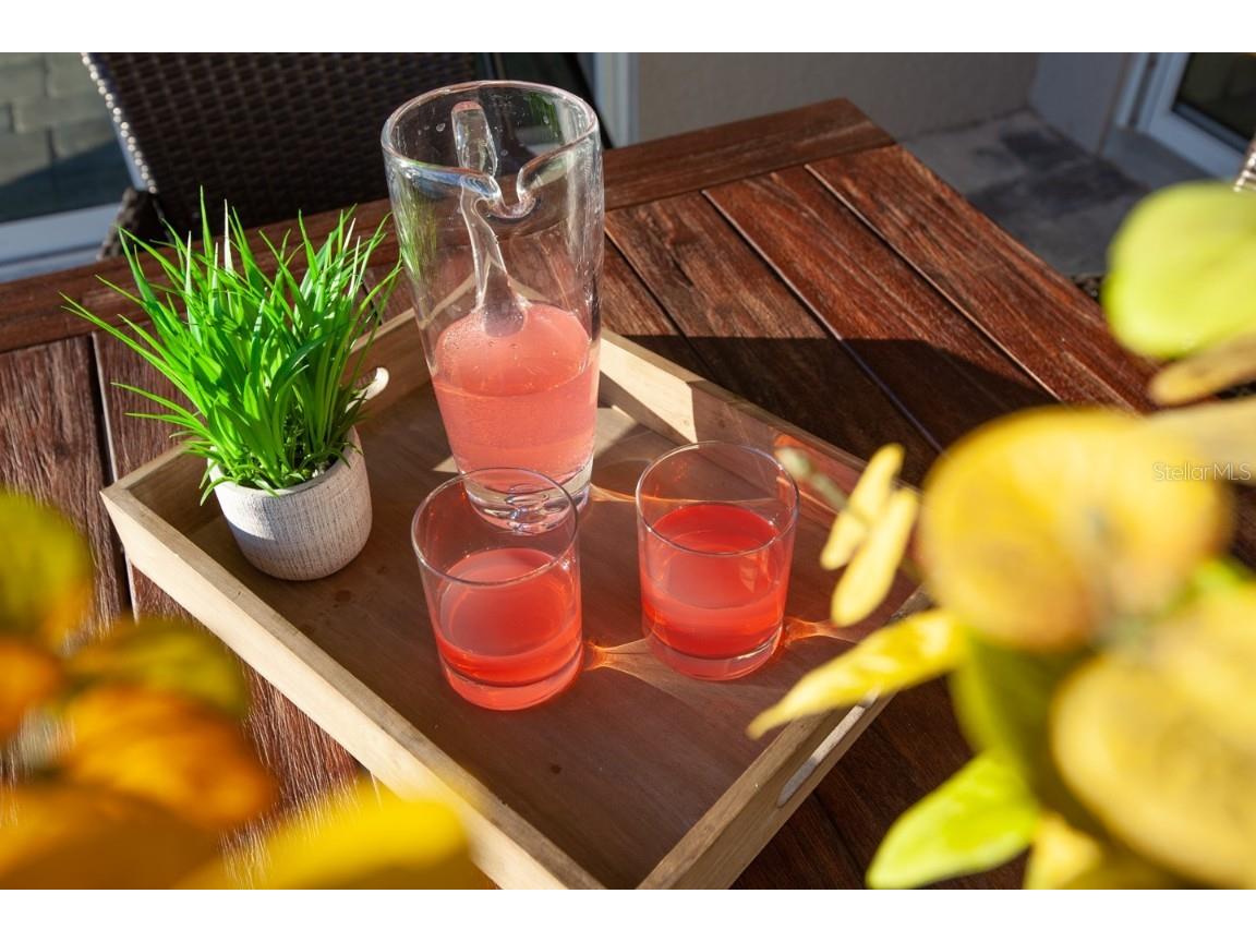 404 Southfield Street Kissimmee FL 34747 O6354805 image47