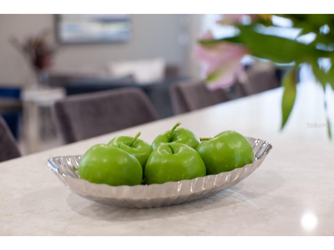 404 Southfield Street Kissimmee FL 34747 O6354805 image61