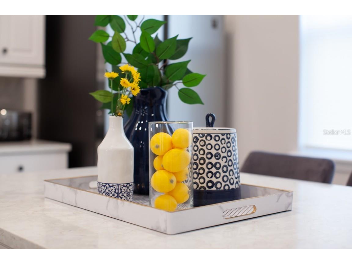 404 Southfield Street Kissimmee FL 34747 O6354805 image62