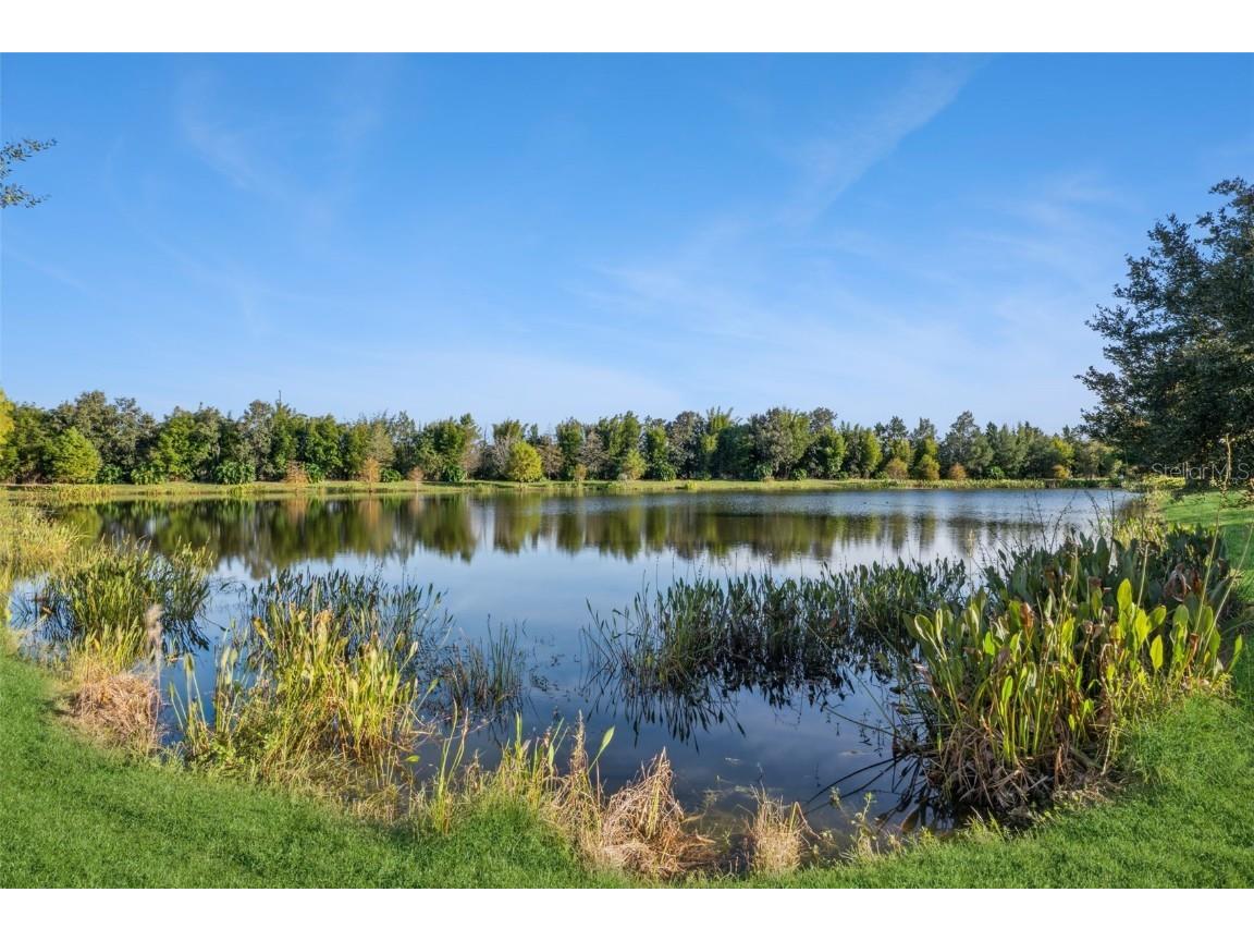 404 Tisbury Court Deland FL 32724 O6361003 image28