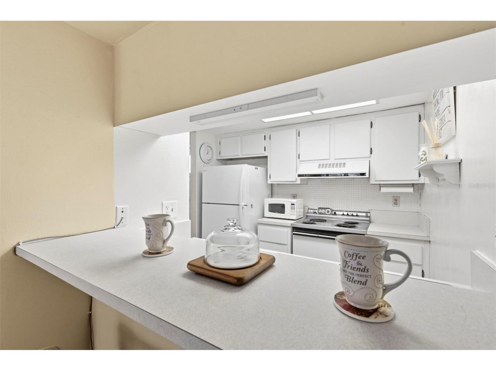 404 Windrush Bay Drive Tarpon Springs FL 34689 TB8498757 image12