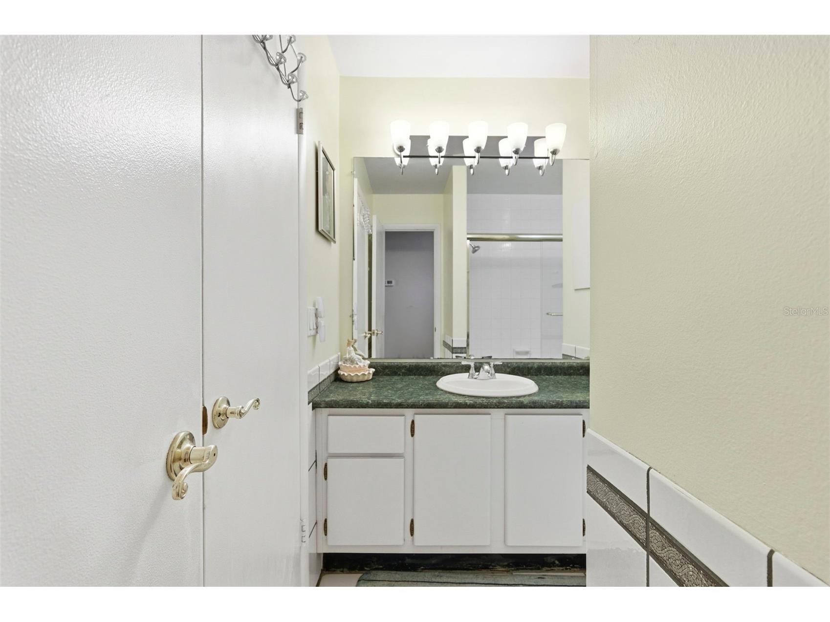 404 Windrush Bay Drive Tarpon Springs FL 34689 TB8498757 image21