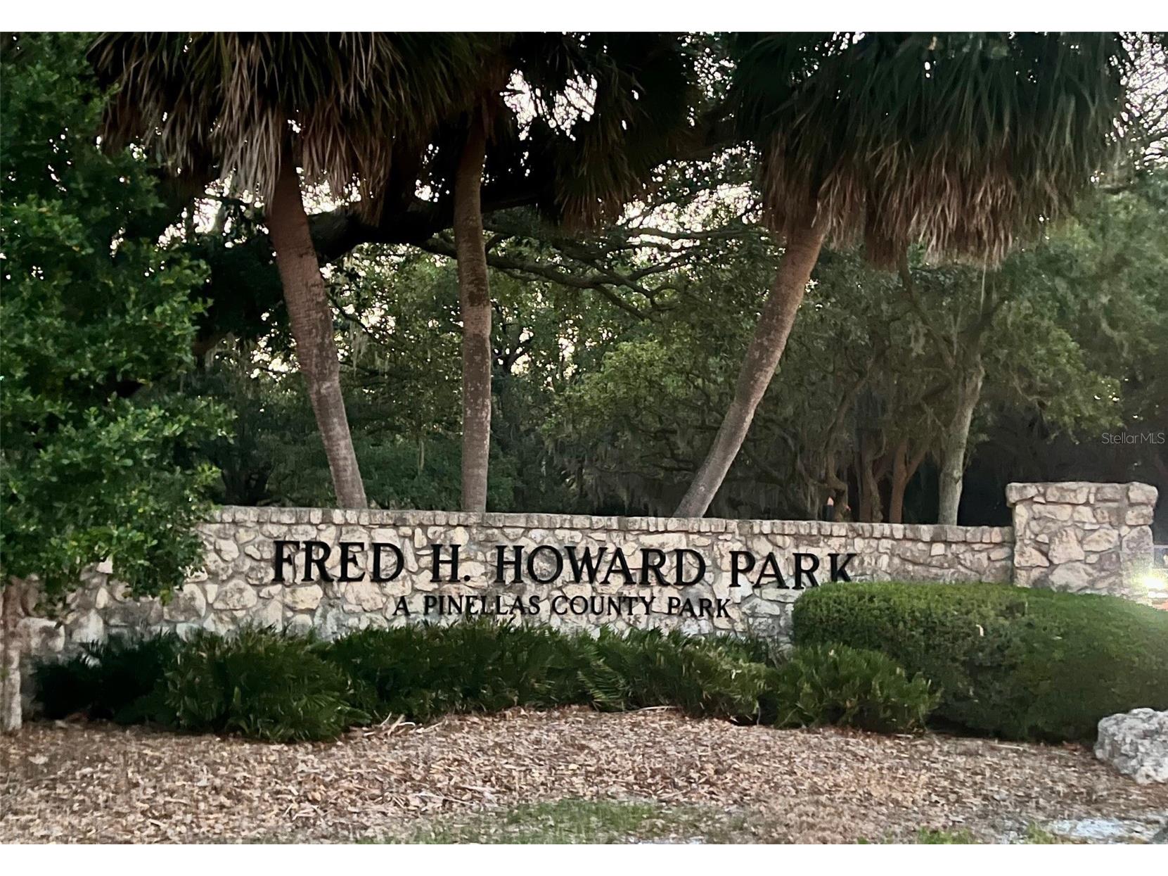 404 Windrush Bay Drive Tarpon Springs FL 34689 TB8498757 image45