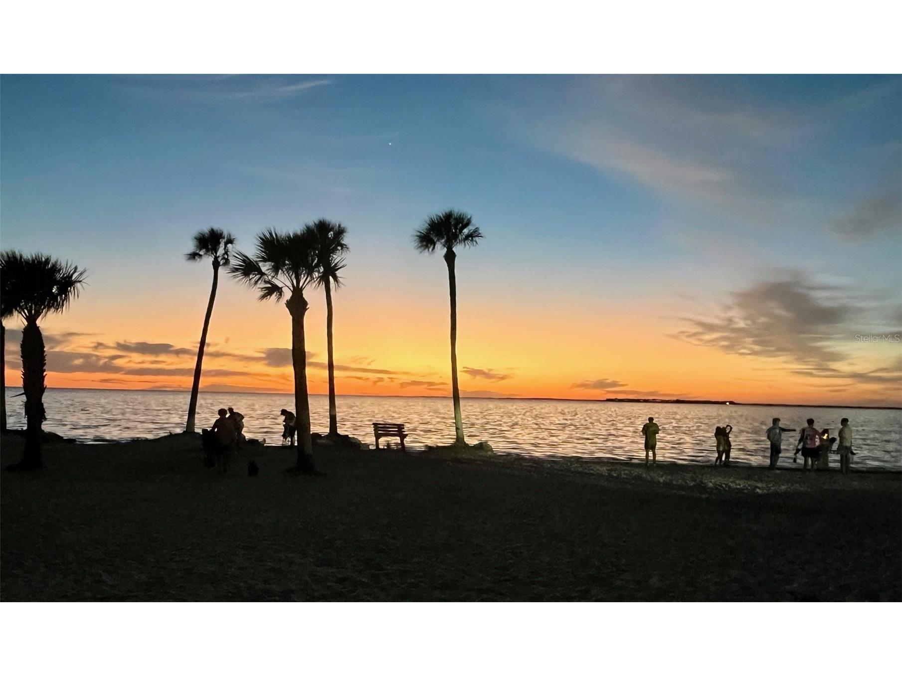 404 Windrush Bay Drive Tarpon Springs FL 34689 TB8498757 image49