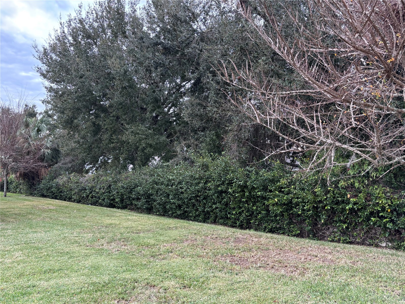 4040 Casterly Rock Court Eustis FL 32736 S5142236 image21