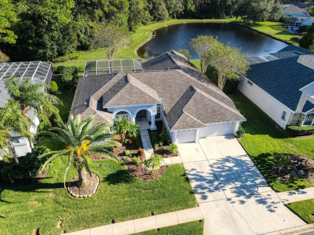 4040 Ligustrum Drive Palm Harbor FL 34685 U8179266 image1