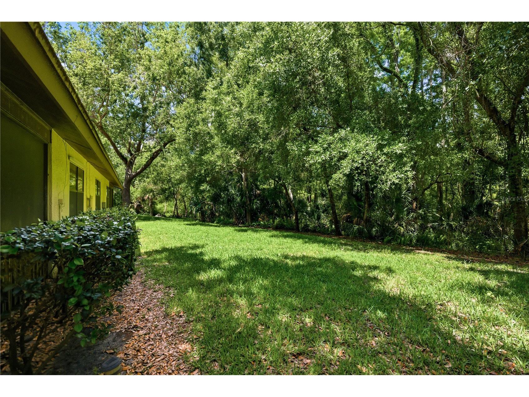 4041 Arrowwood Court #4041 Palm Harbor FL 34684 TB8508595 image21