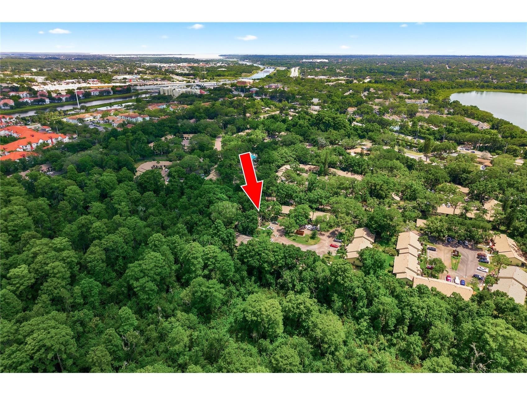 4041 Arrowwood Court #4041 Palm Harbor FL 34684 TB8508595 image24
