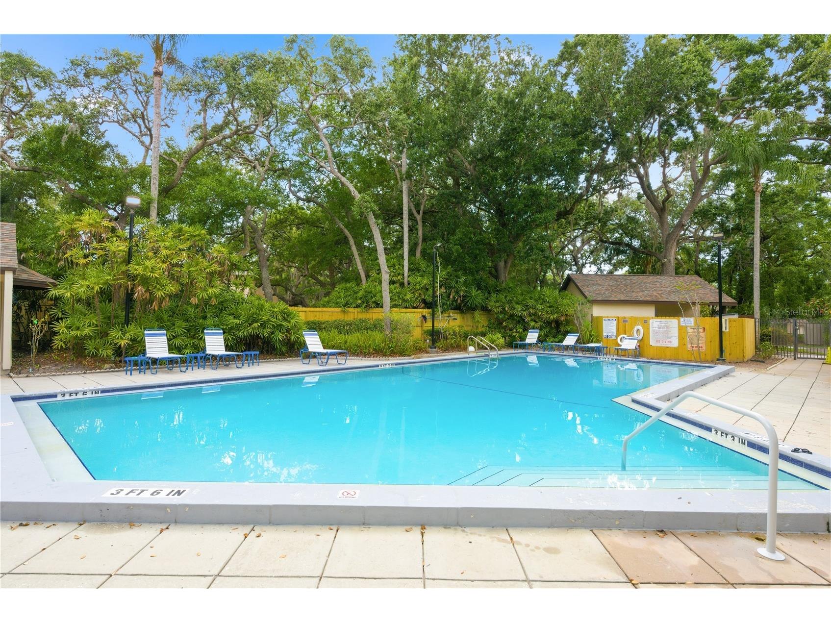 4041 Arrowwood Court #4041 Palm Harbor FL 34684 TB8508595 image26