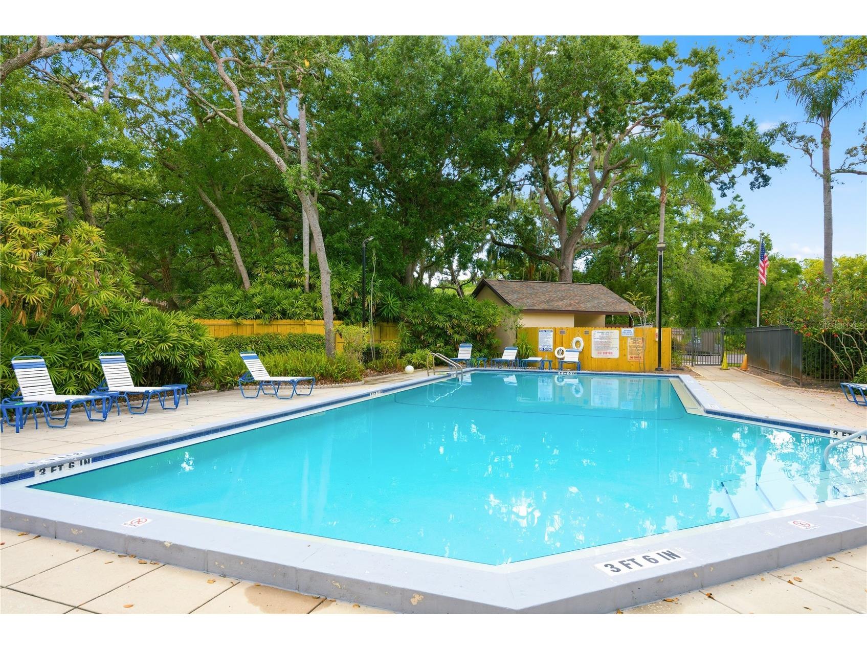 4041 Arrowwood Court #4041 Palm Harbor FL 34684 TB8508595 image27