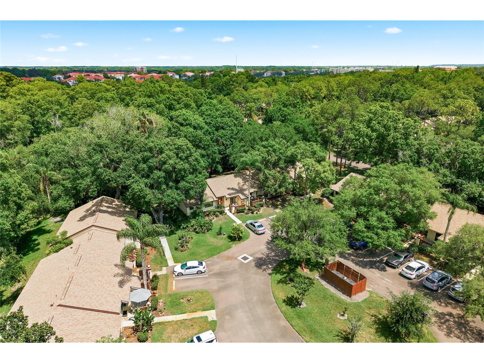 4041 Arrowwood Court #4041 Palm Harbor FL 34684 TB8508595 image30