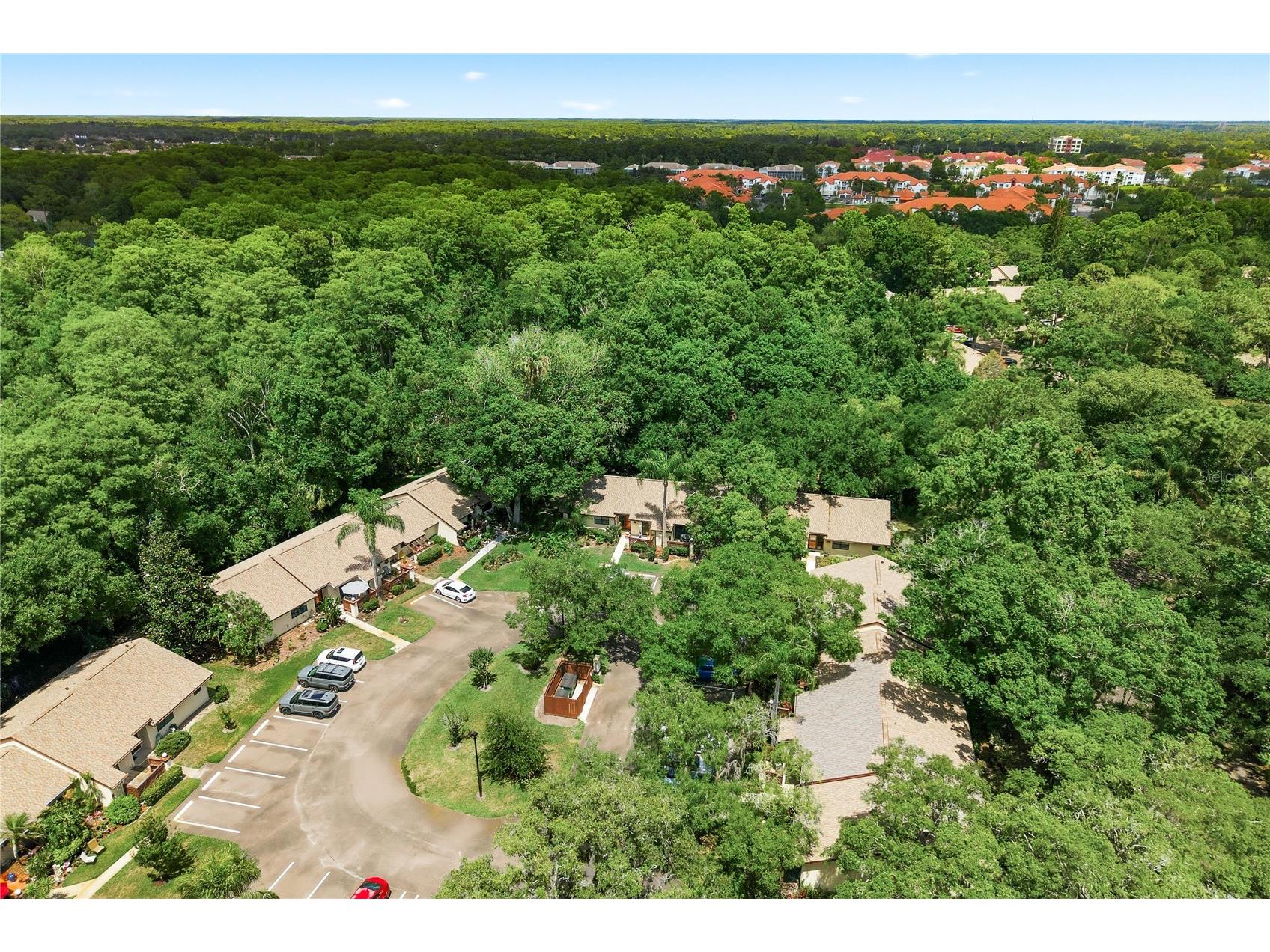4041 Arrowwood Court #4041 Palm Harbor FL 34684 TB8508595 image31
