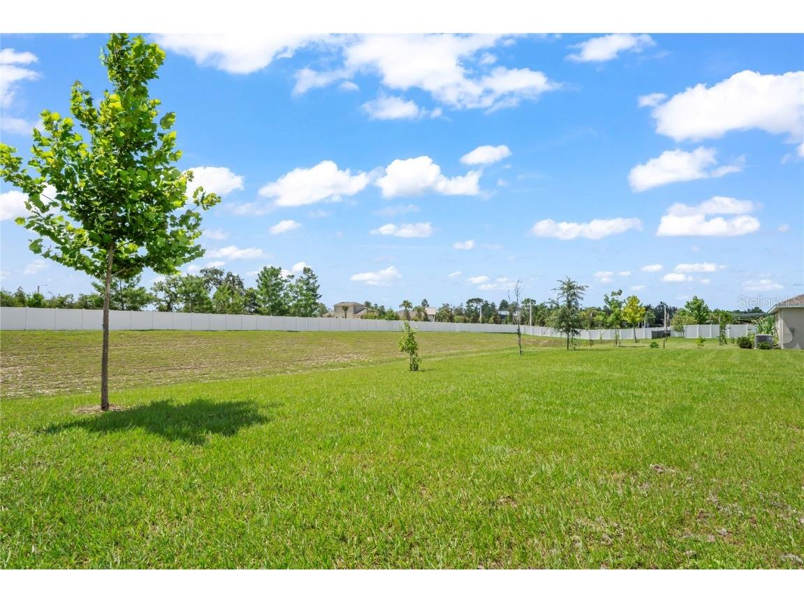 4041 Autumn Amber Spring Hill FL 34609 W7877519 image46