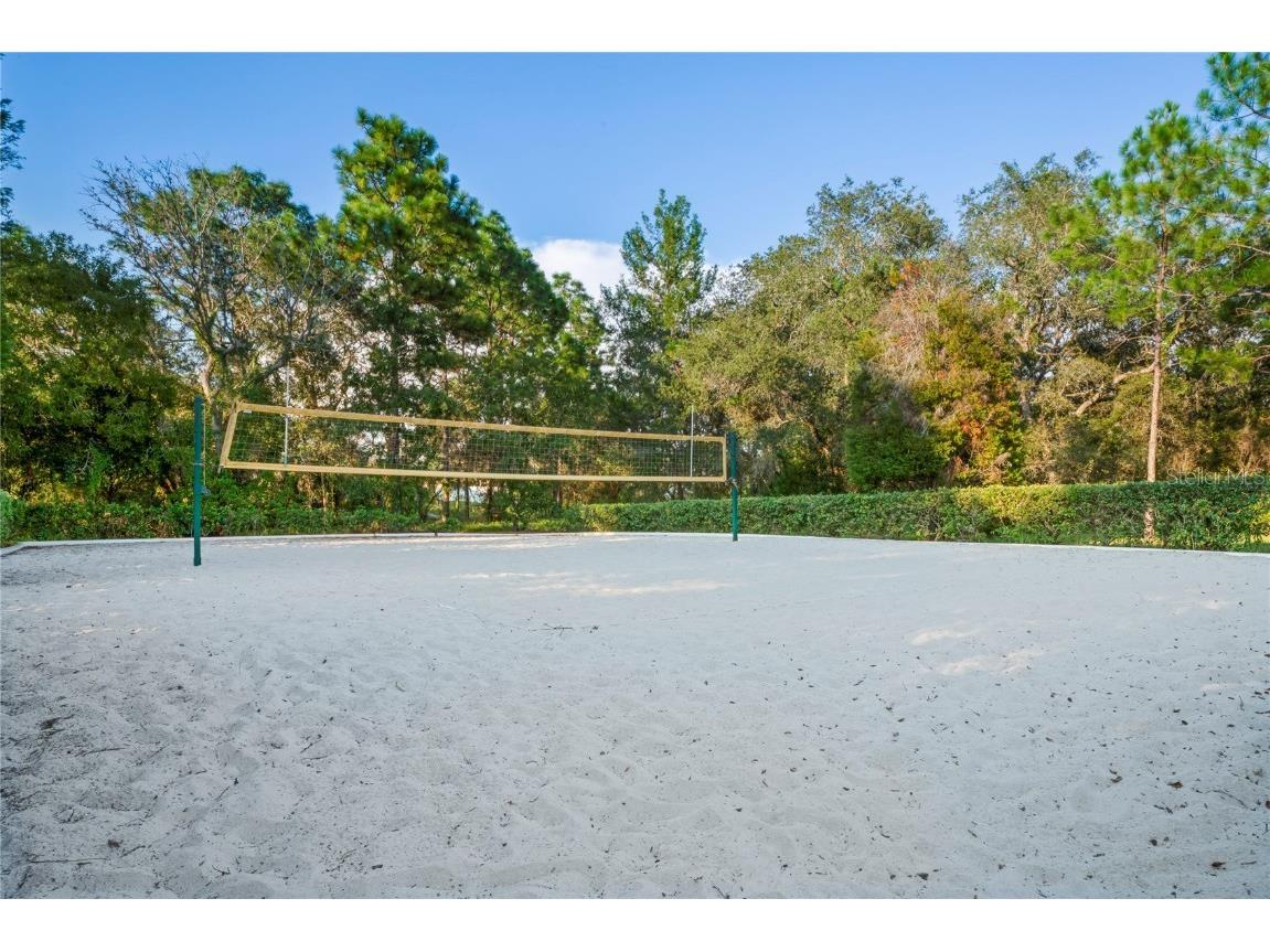 4041 Autumn Amber Spring Hill FL 34609 W7877519 image60