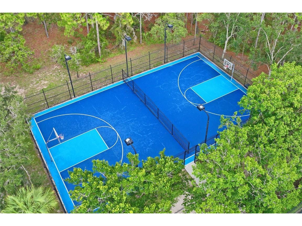 4041 Autumn Amber Spring Hill FL 34609 W7877519 image67