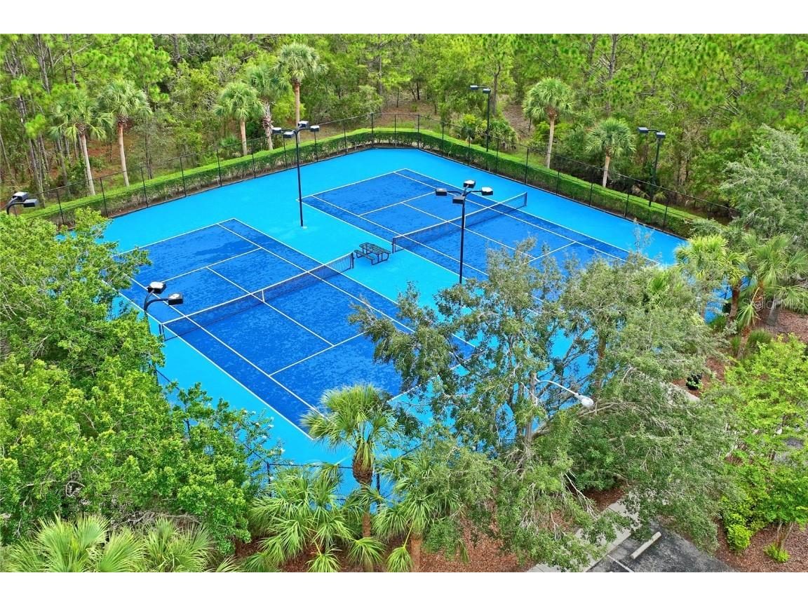 4041 Autumn Amber Spring Hill FL 34609 W7877519 image68