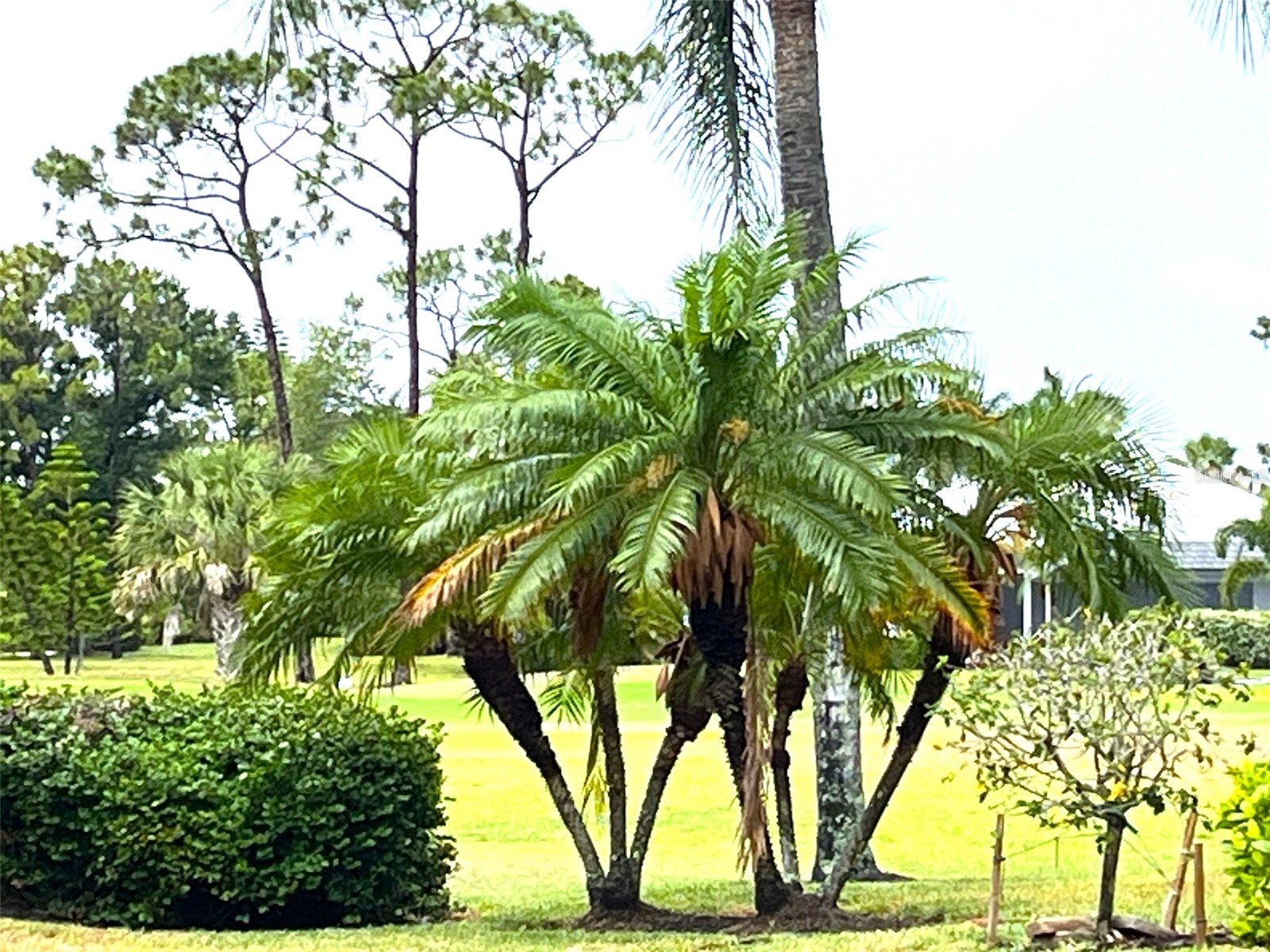 4041 King Tarpon Drive Punta Gorda FL 33955 - CHARLOTTE HARBOR C7522608 image38