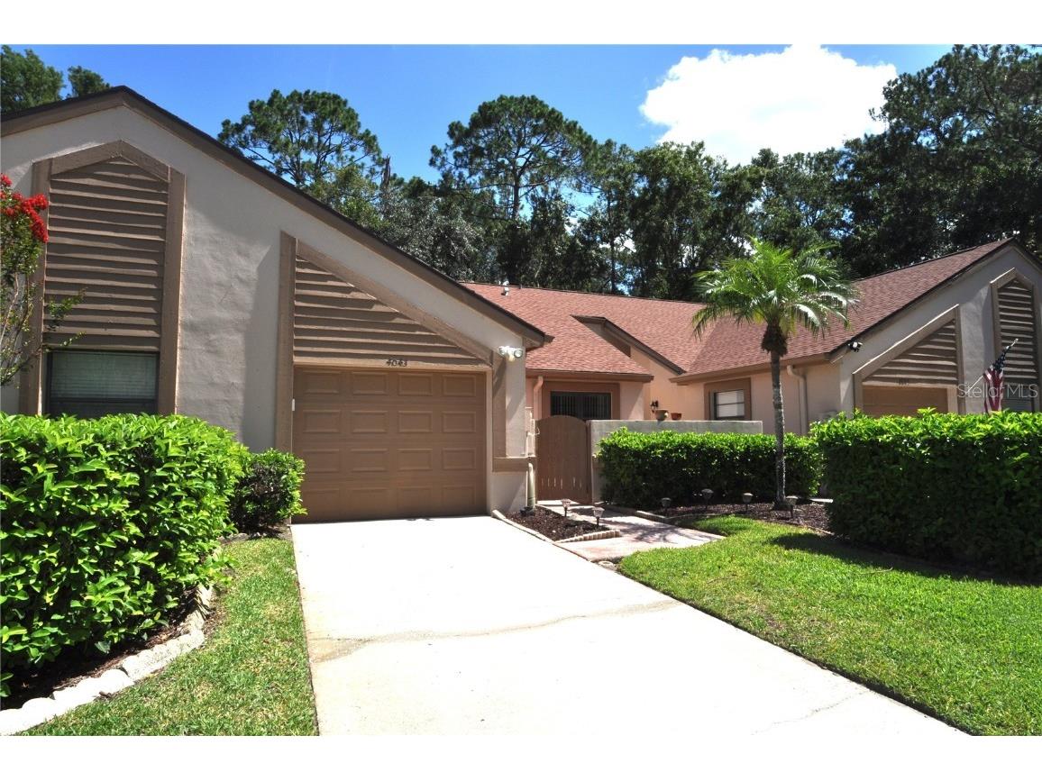 4043 Mermoor Court Palm Harbor FL 34685 TB8408358 image1