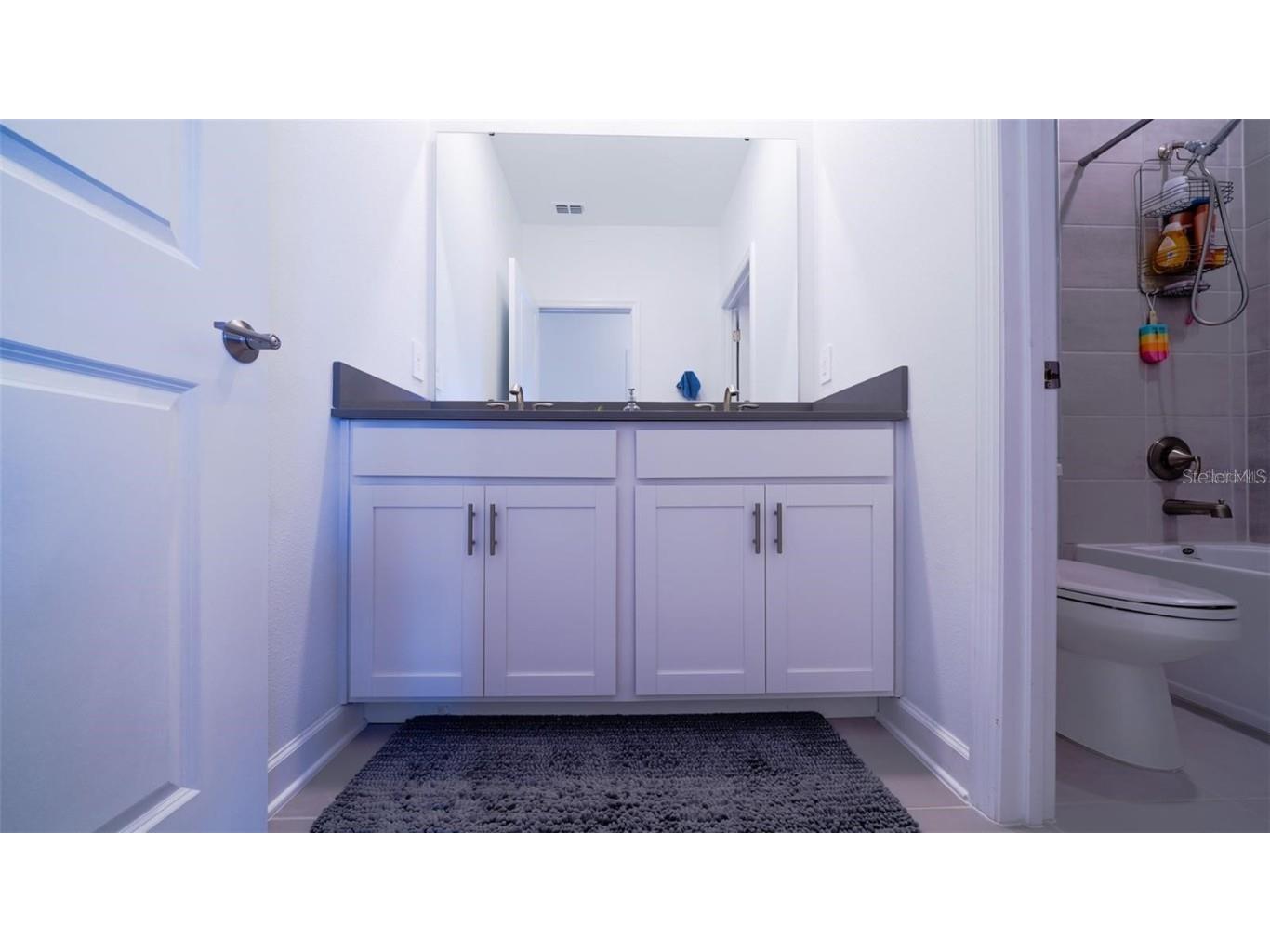 4044 Redbridge Loop Davenport FL 33837 S5133417 image38