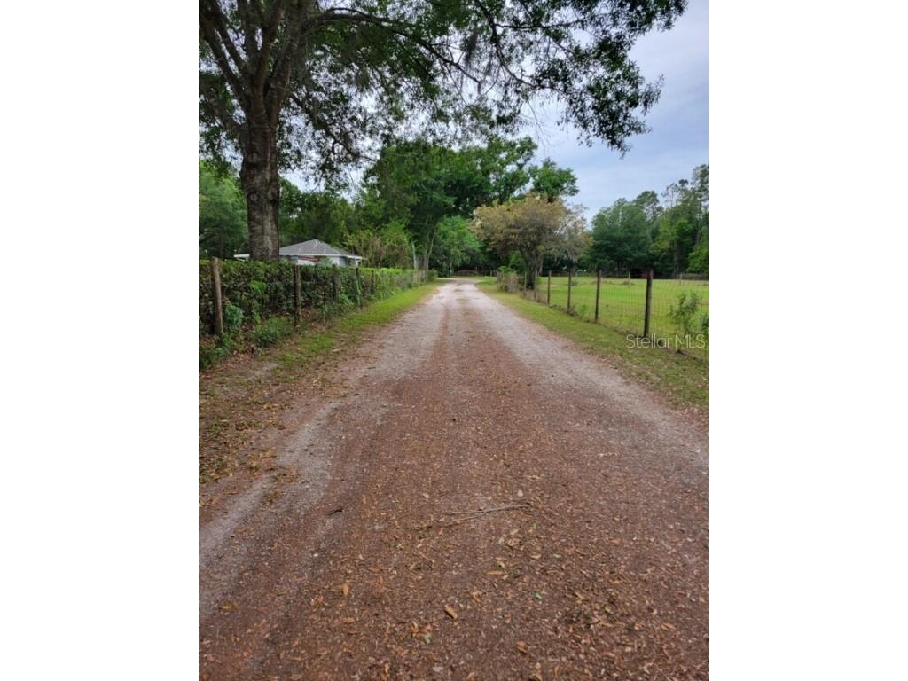 4045 Allen Rd Zephyrhills FL 33541 TB8407071 image22