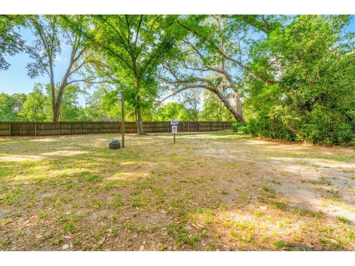 4045 Allen Rd Zephyrhills FL 33541 TB8407071 image32