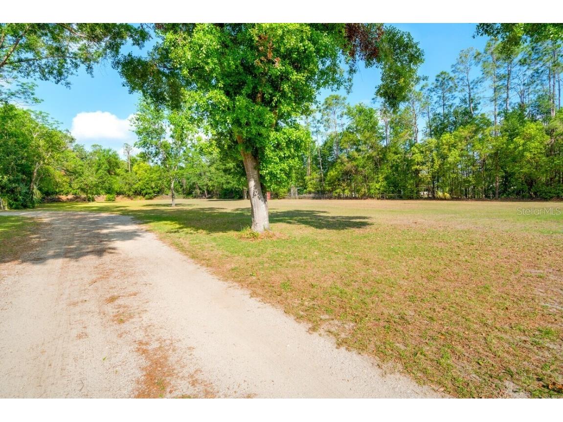 4045 Allen Rd Zephyrhills FL 33541 TB8407071 image38