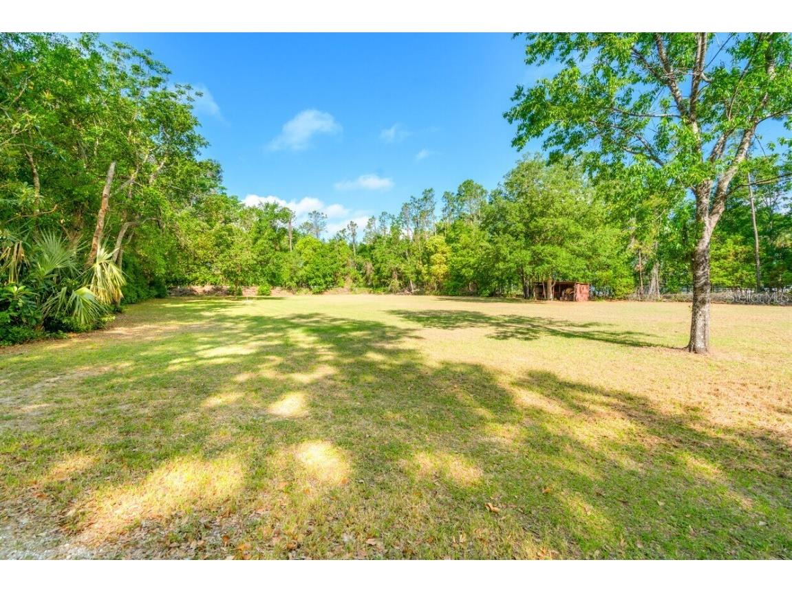 4045 Allen Rd Zephyrhills FL 33541 TB8407071 image39