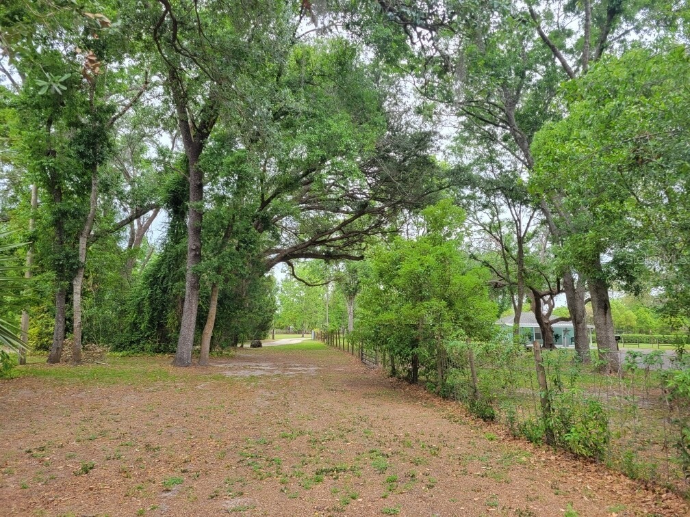 4045 Allen Rd Zephyrhills FL 33541 TB8407071 image7