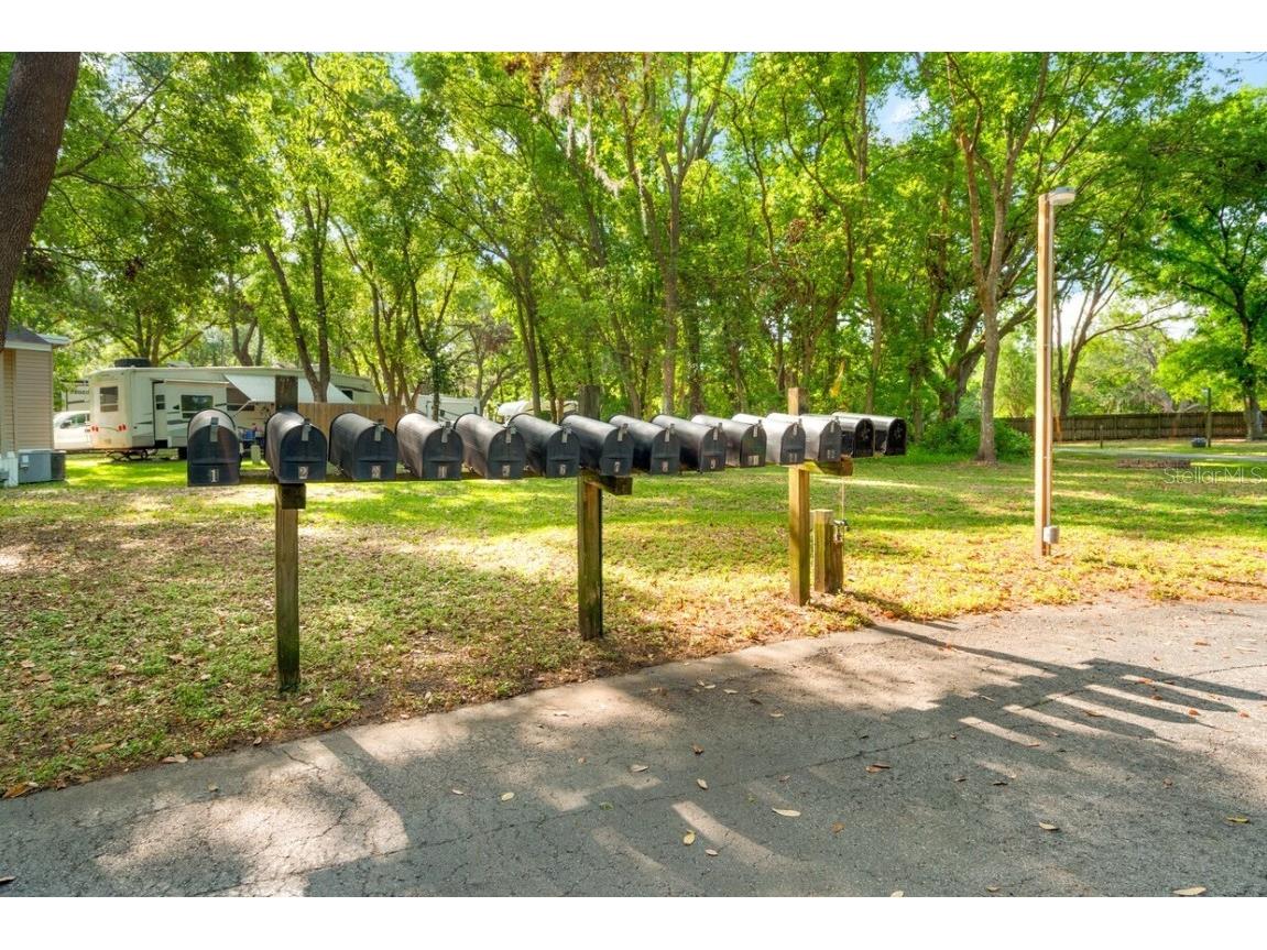 4045 Allen Rd Zephyrhills FL 33541 TB8407071 image8