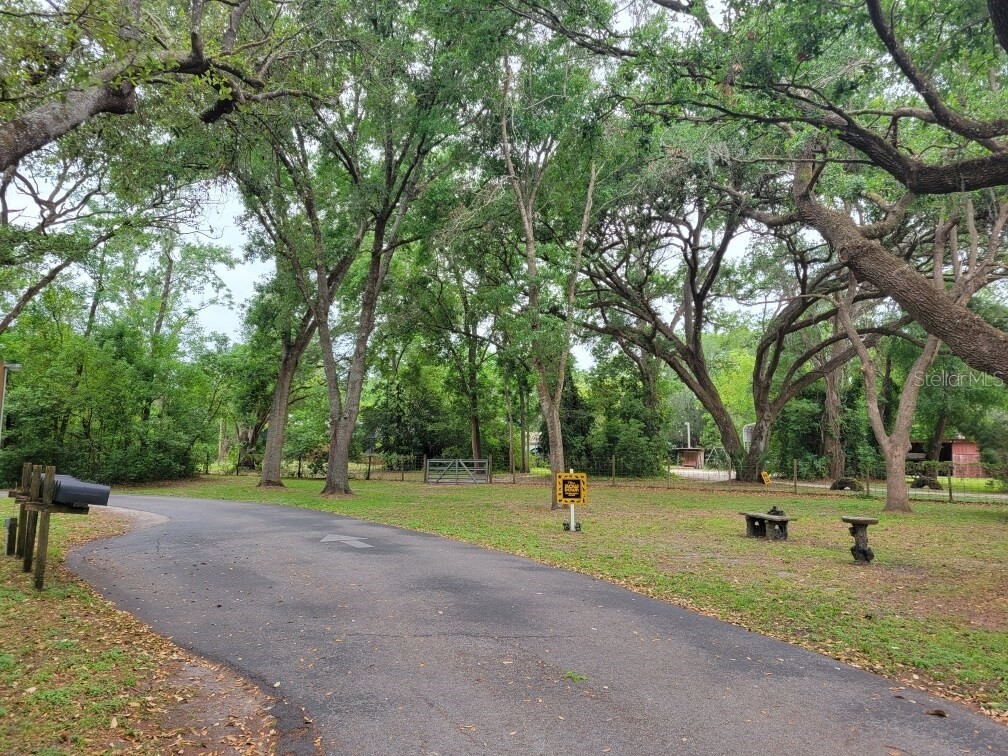 4045 Allen Rd Zephyrhills FL 33541 TB8407071 image9