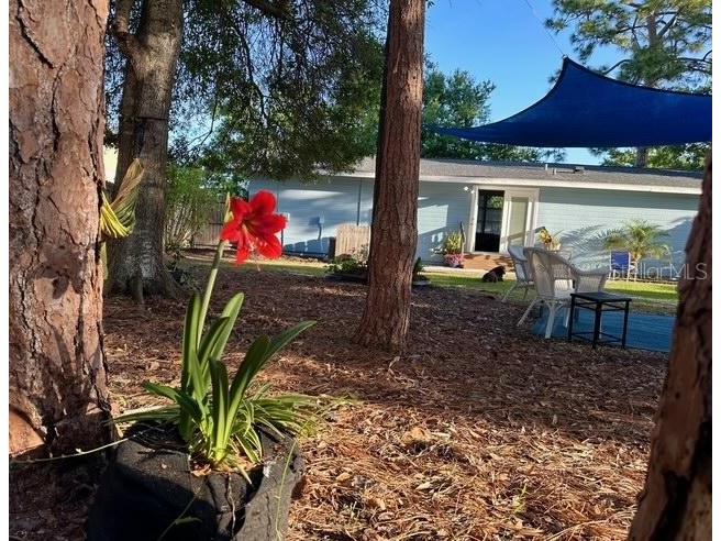 4045 Palau Drive Sarasota FL 34241 A4686678 image26