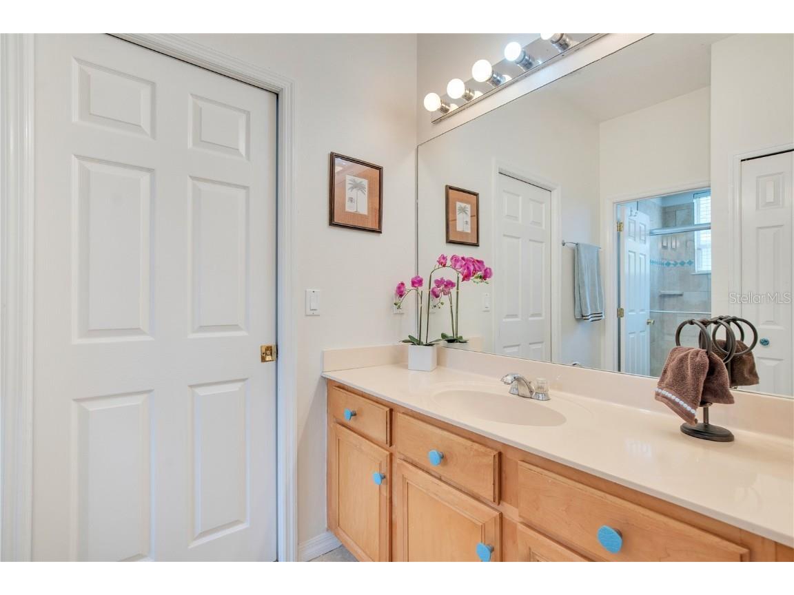 4047 Lillian Hall Lane Orlando FL 32812 O6312126 image28